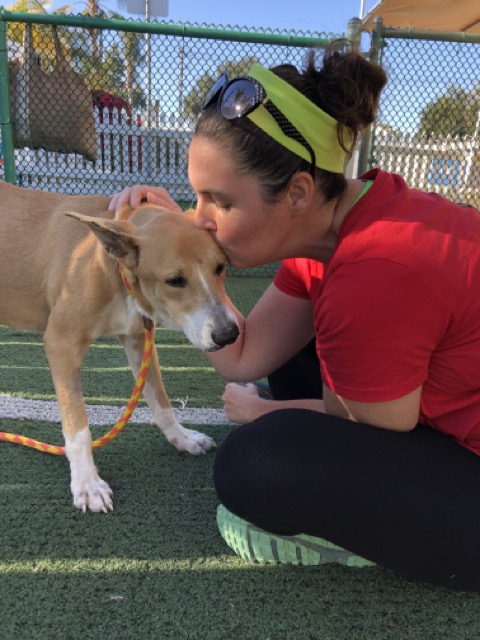 volunteer kissing head of adoptable dog