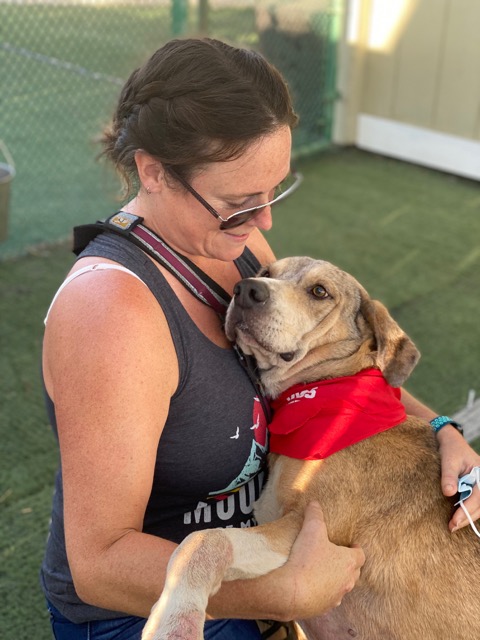 volunteer with large dog laying in her lap